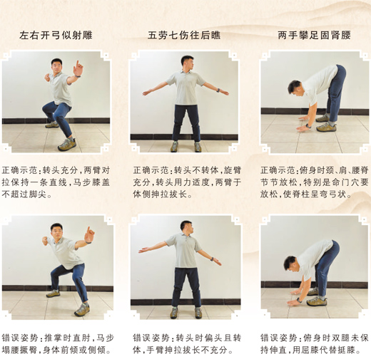 动静相宜,八段锦这样练